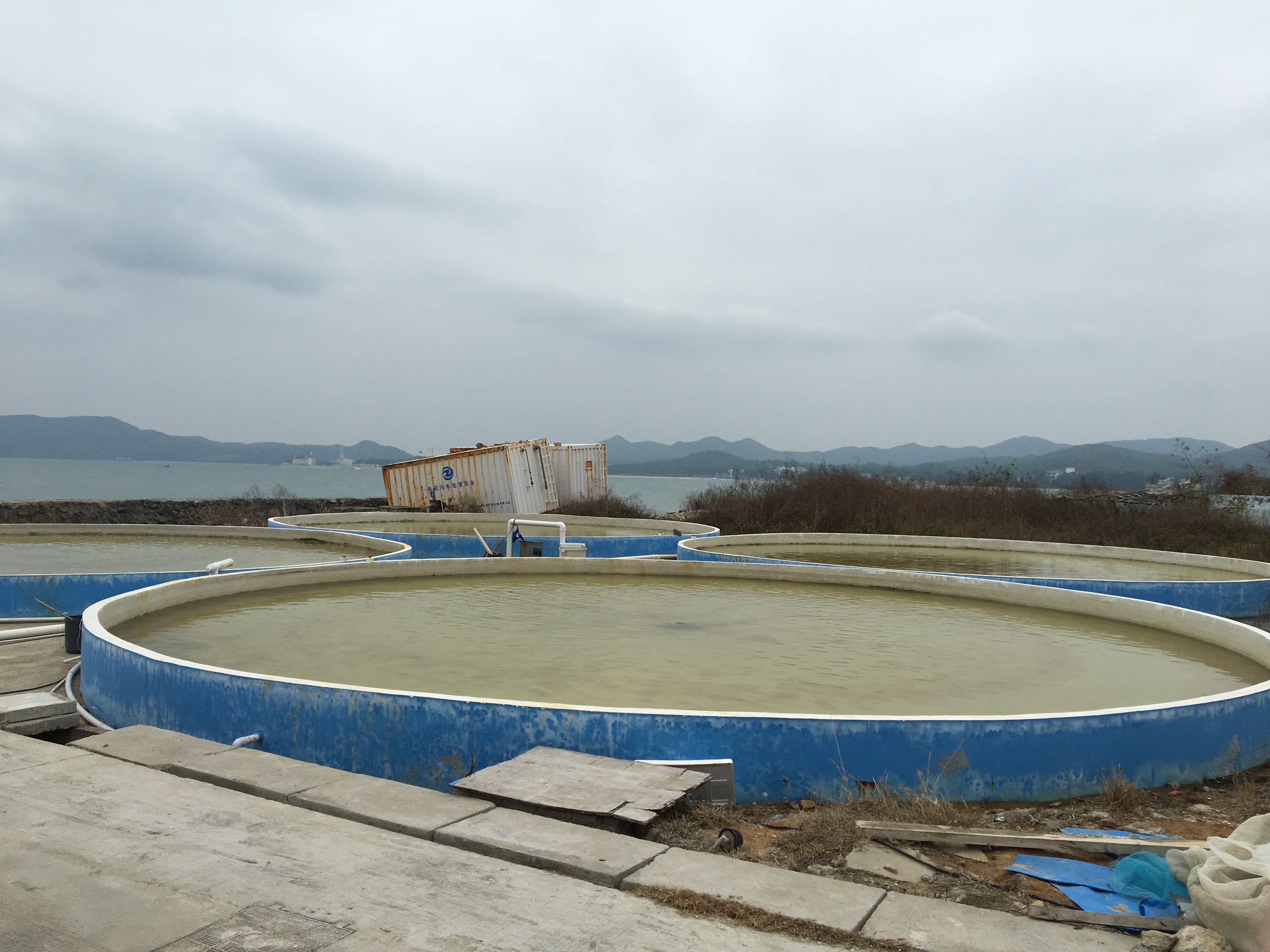 南科大-泰利硅藻材料联合实验室项目组成员赴大鹏硅藻养殖基地参观