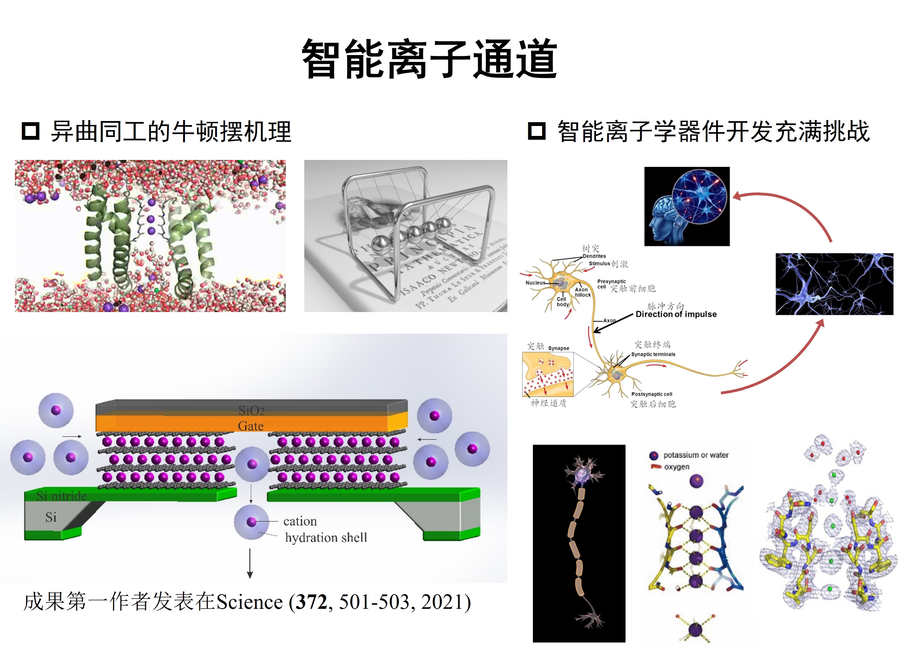 薛亚辉 教师个人主页 南方科技大学